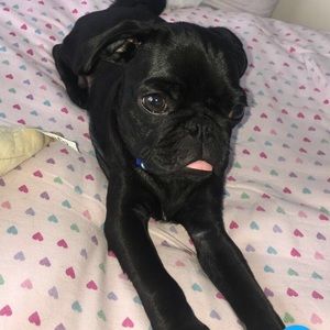 Meet your Posher, Brooke